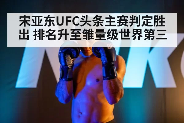 UFC bantamweight fight